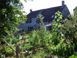 Jardin de La Shamballa – potager arrosé à l’eau de pluie